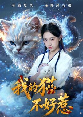 我的貓不好惹
