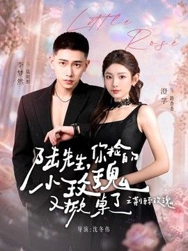 陸先生，你撿的小玫瑰又掀桌了之荊棘玫瑰（太子爺的小玫瑰又掀桌了）