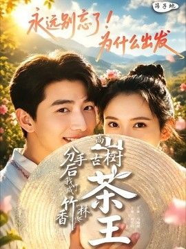 分手後我成了香竹林高山古樹茶王