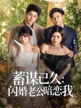 蓄謀已久：閃婚老公暗戀我（我帶崽閃婚後怎麼老媽也）