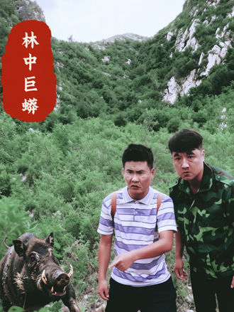 林中巨蟒