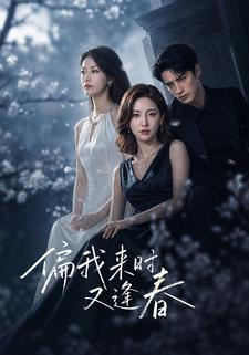 偏我來時又逢春
