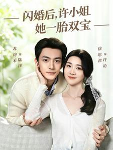 閃婚後，許小姐她一胎雙寶
