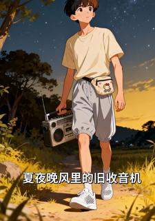 夏夜晚風裡的舊收音機