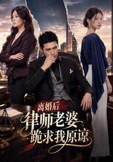 離婚後，律師老婆跪求我原諒