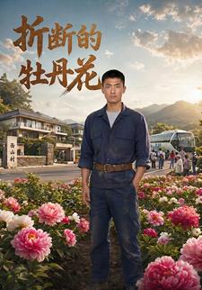 折斷的牡丹花