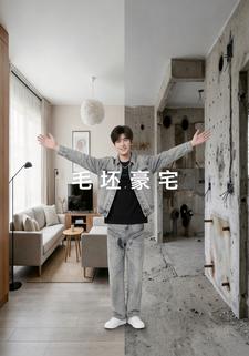 毛坯豪宅