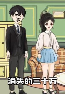 消失的三十萬