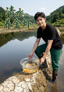 清水養金蝦
