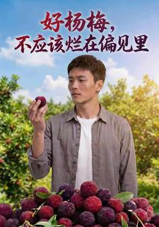 好楊梅不應該爛在偏見裡
