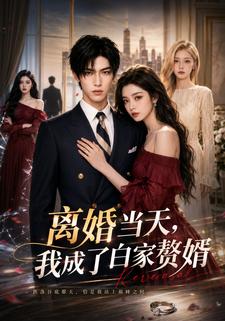 離婚當天，我成了白家贅婿
