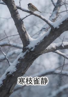 寒枝雀靜第一部