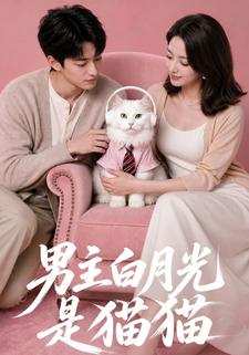 男主白月光是貓貓