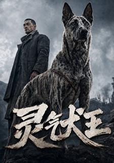 靈氣犬王