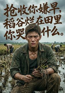 搶收你嫌早，稻穀爛在田裡你哭什麼