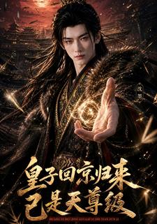 皇子回京歸來已是天尊級