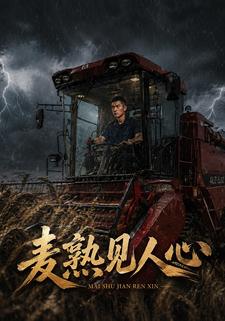 麥熟見人心
