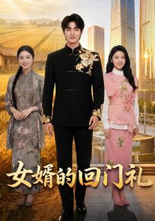 女婿的回門禮