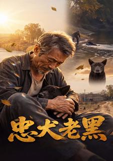 忠犬老黑