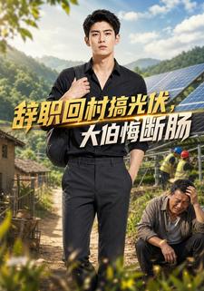 辭職回村搞光伏，大伯悔斷腸
