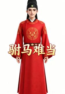 駙馬難當第10部