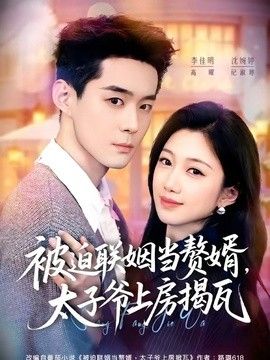 被迫聯姻當贅婿，太子爺上房揭瓦
