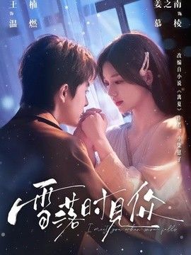 雪落時見你