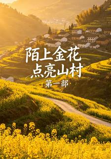 陌上金花點亮山村第一部