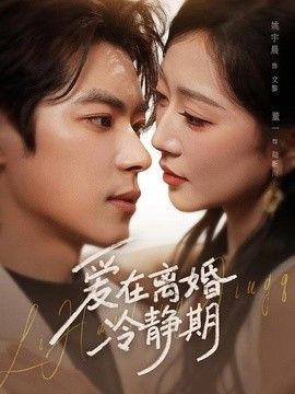 愛在離婚冷靜期