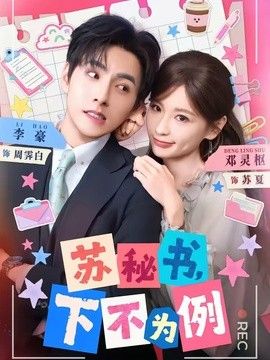 蘇秘書，下不為例