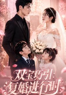 雙寶巧引：復婚進行時