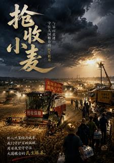 搶收小麥