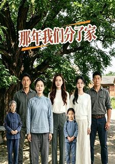 那年我們分了家
