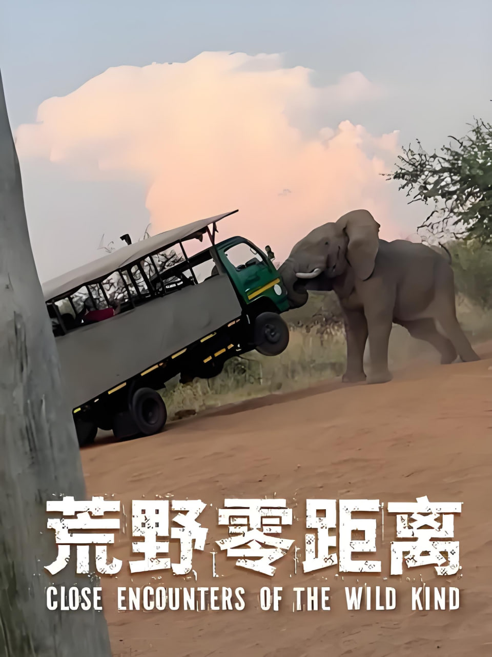 荒野零距離