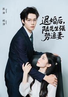 退婚後，陸先生強勢追妻