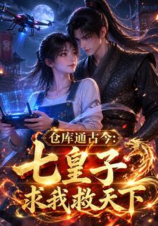 倉庫通古今：七皇子求我救天下