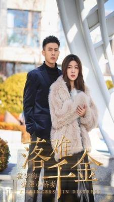 落難千金：霍少的倔強小嬌妻