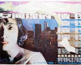 柳菲的遺書