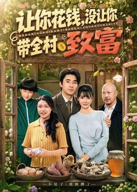 讓你花錢，沒讓你帶全村致富