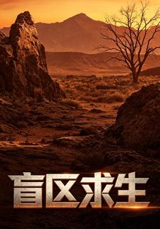 盲區求生
