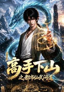 高手下山之都市仙武問道！