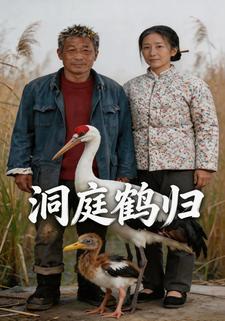 洞庭鶴歸