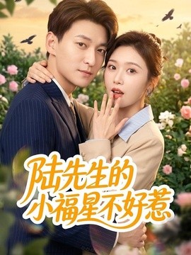 陸先生的小福星不好惹