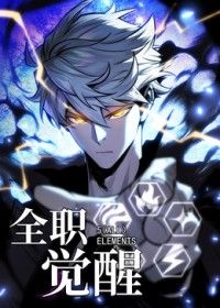 全職覺醒