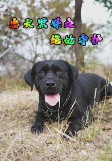 忠犬黑妹之絕地守護