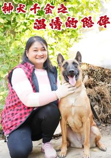 神犬千金之溫情的陪伴