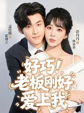 老闆剛好愛上我