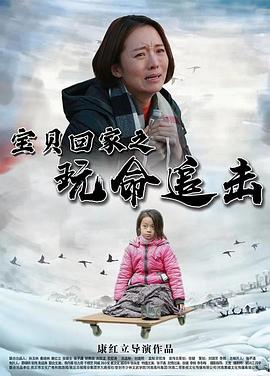 寶貝回家之玩命追擊