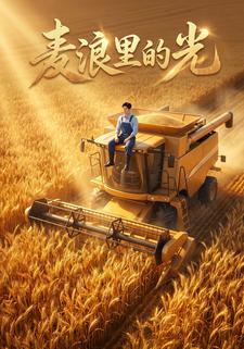 麥浪裡的光