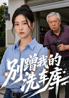別蹭我的洗車庫